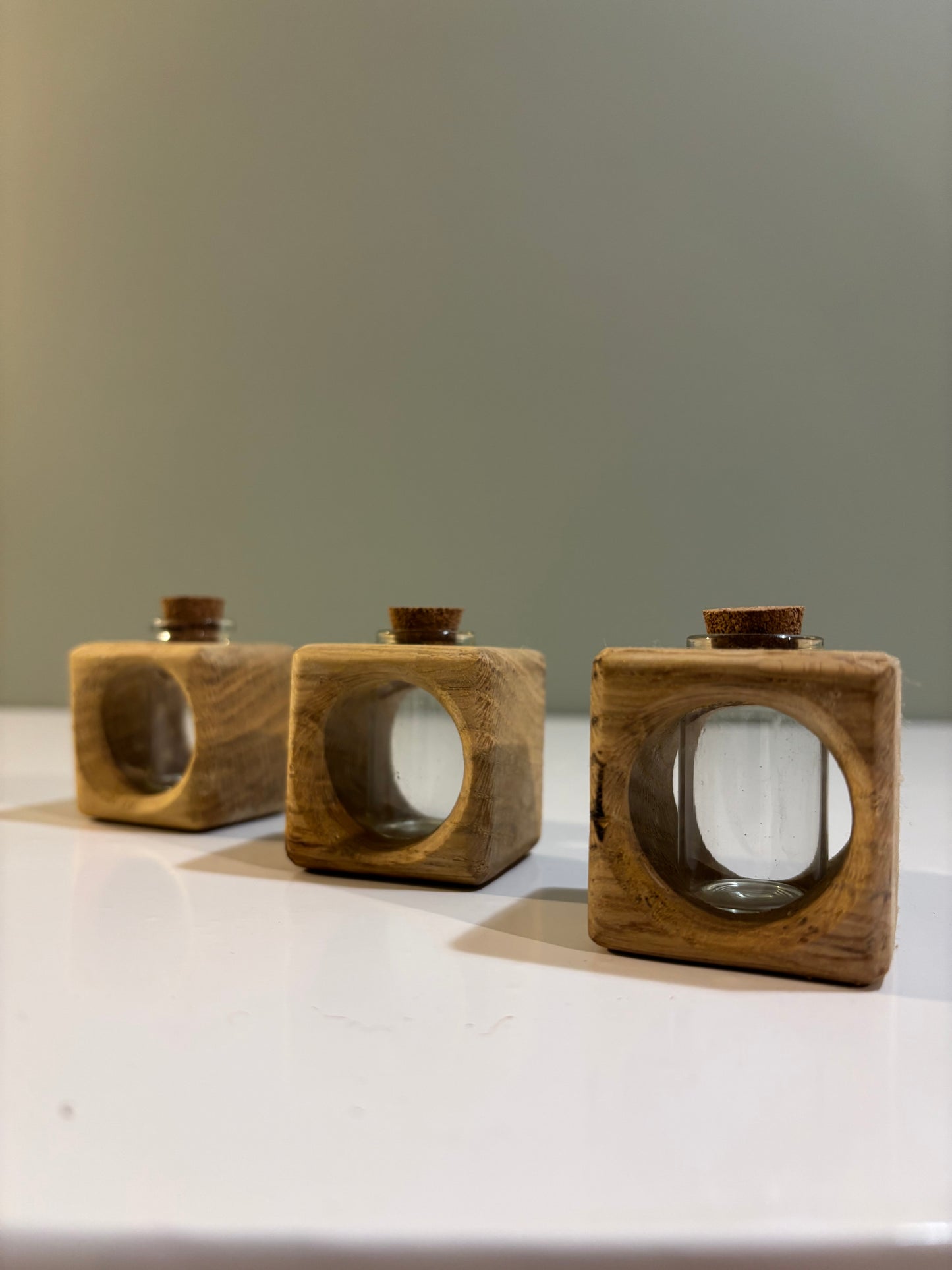 Oak Cutting Propagator Cube vase
