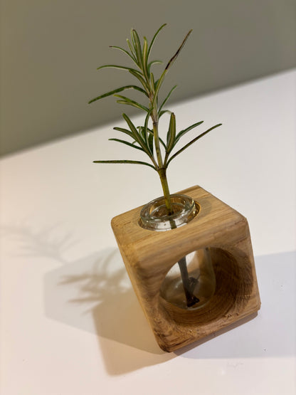 Oak Cutting Propagator Cube vase