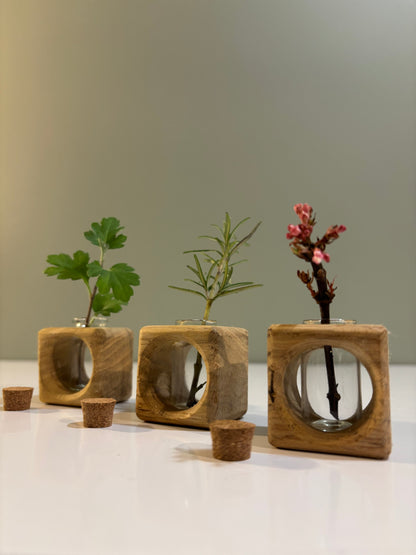 Oak Cutting Propagator Cube vase